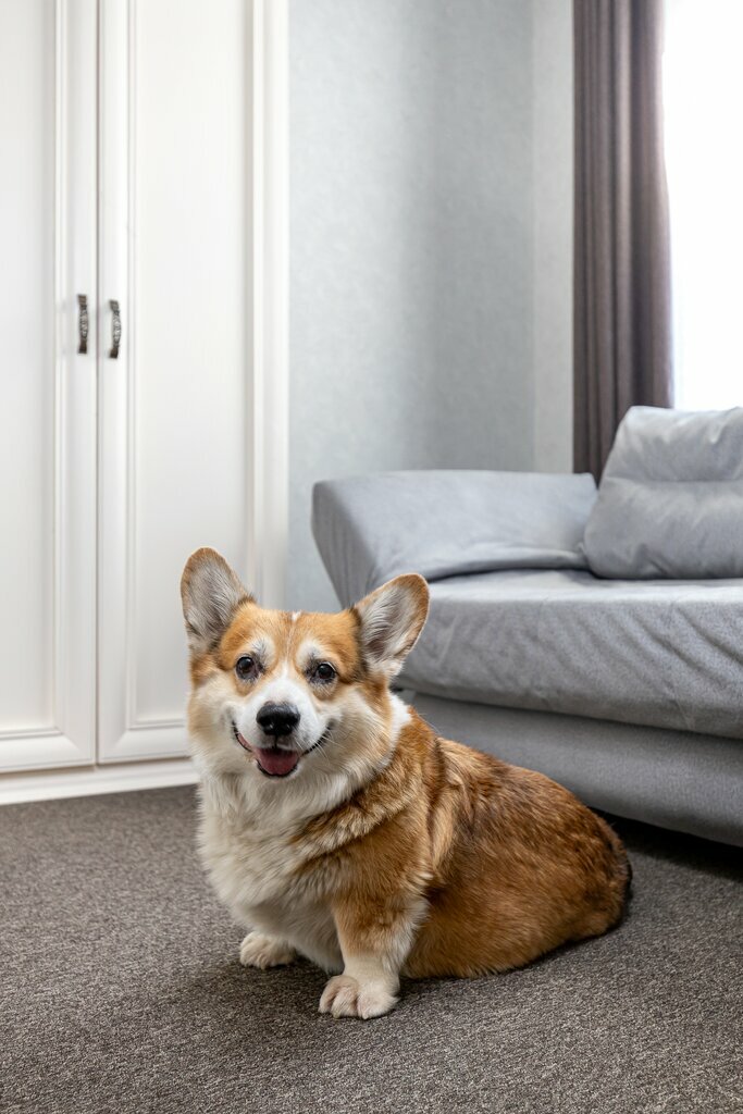 Гостиница Тета Кропоткин-22