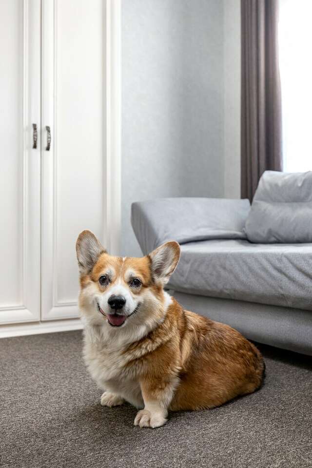 Гостиница Тета Кропоткин-21